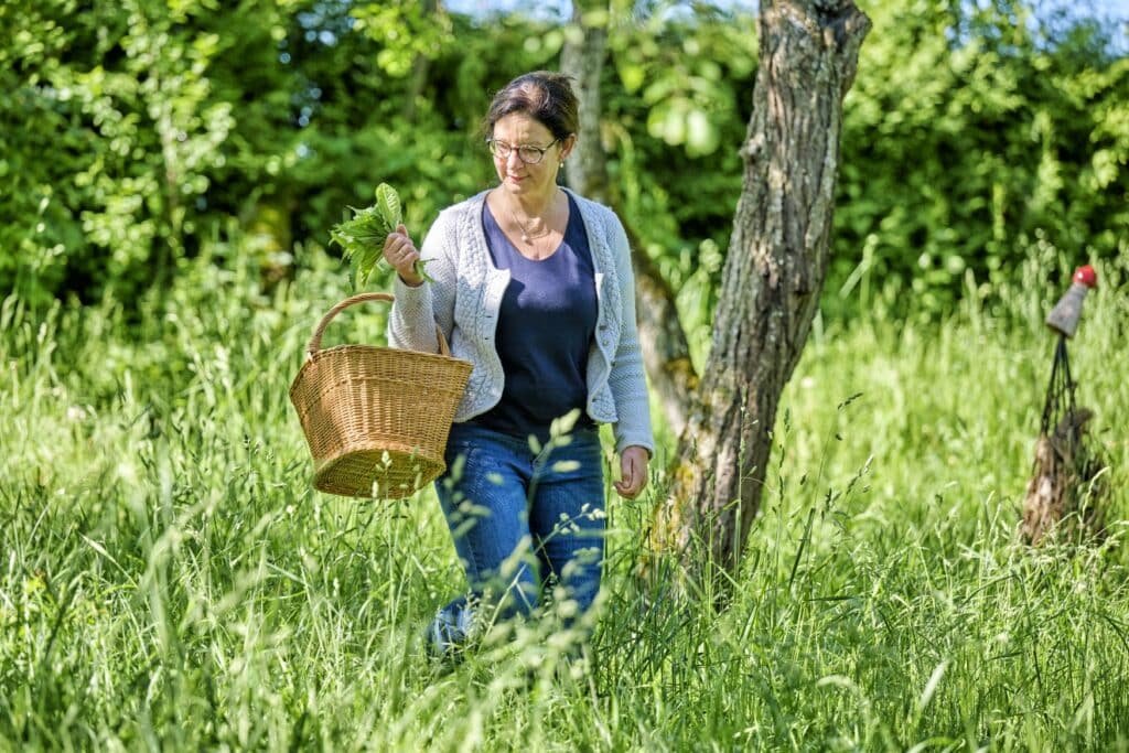 Siglinde Beck, Inhaberin des Holunderhofs Oettingen, beim Kräutersammeln