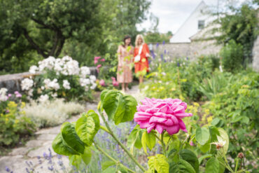 Rosengarten in Wemding