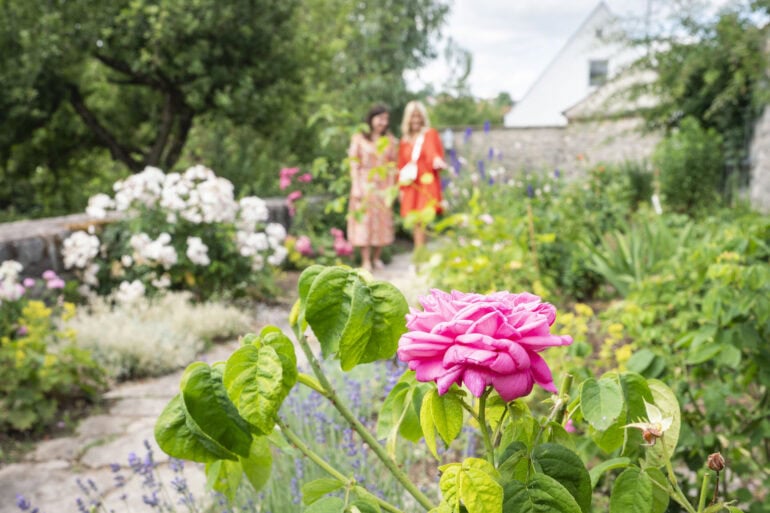 Rosengarten in Wemding