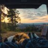 Zwei Personen und ein Hund liegen in einem Zelteingang, vor dem die Sonne über einem Wald aufgeht