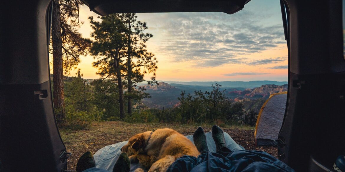 Zwei Personen und ein Hund liegen in einem Zelteingang, vor dem die Sonne über einem Wald aufgeht