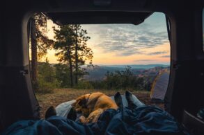 Zwei Personen und ein Hund liegen in einem Zelteingang, vor dem die Sonne über einem Wald aufgeht