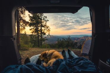 Zwei Personen und ein Hund liegen in einem Zelteingang, vor dem die Sonne über einem Wald aufgeht