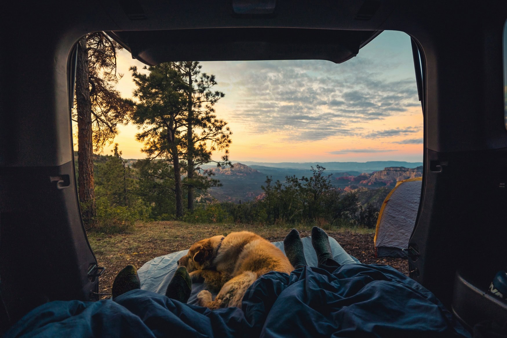 Zwei Personen und ein Hund liegen in einem Zelteingang, vor dem die Sonne über einem Wald aufgeht