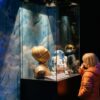 A child stands in front of a display case containing the head of C3PO at an exhibition.