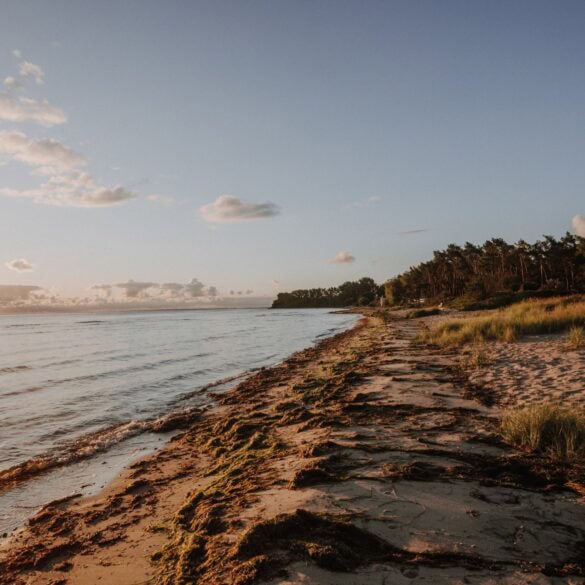 A beach on Rügen at sunset