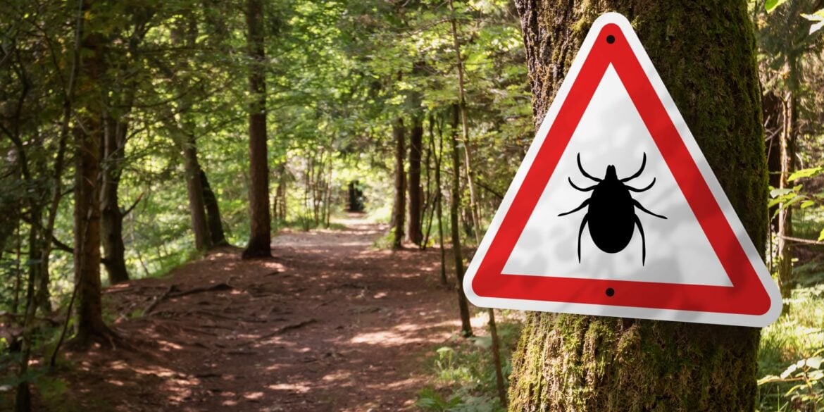 Ein Warnschild in einem Wald weist auf ein Zeckengebiet hin