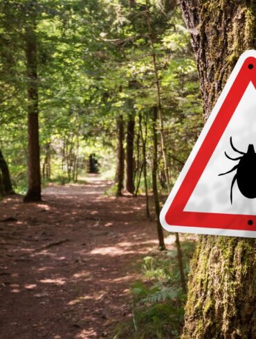 Ein Warnschild in einem Wald weist auf ein Zeckengebiet hin