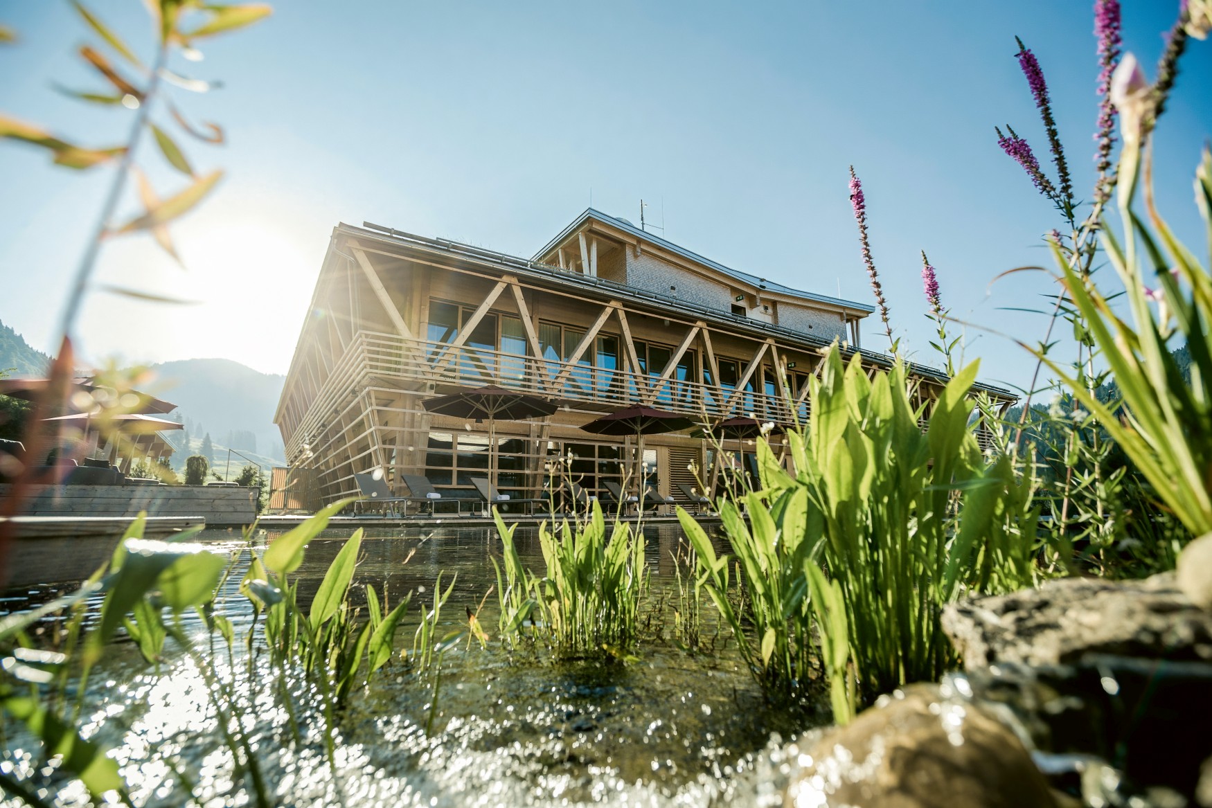 In the middle of a lawn stands a row of sun loungers with parasols. Behind them rises a modern half-timbered building with a watermill wheel on the façade.