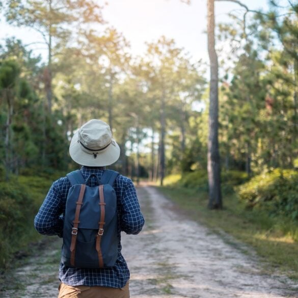 A man with a backpack and a fishing hat is traveling alone through a forest that could be in Germany; he is seen from behind.