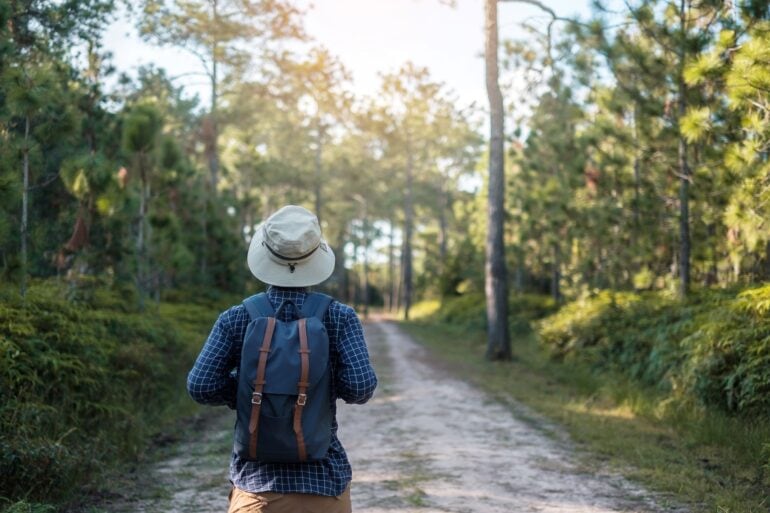 A man with a backpack and a fishing hat is traveling alone through a forest that could be in Germany; he is seen from behind.