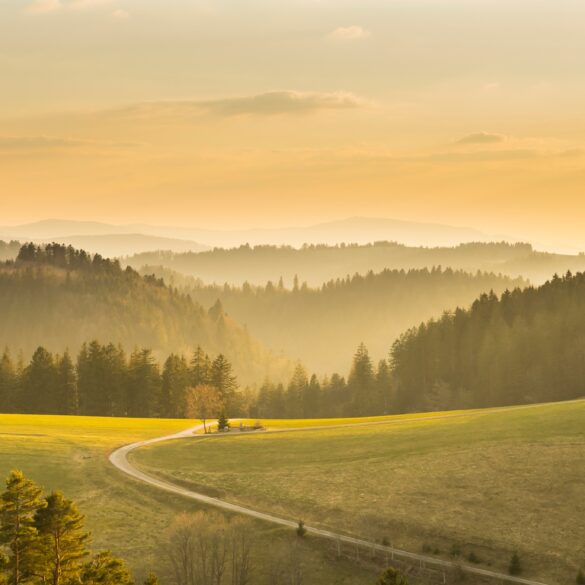 A path leads over a green hilltop and down into a wooded valley. Behind the hill, the mountains of the Black Forest stretch out over several levels. Everything is bathed in golden sunlight.