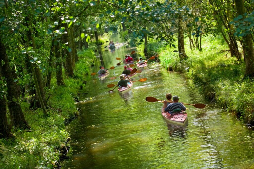 Ein Fluss läuft von der Kamera hinweg zum Bildrand, links und rechts von Bäumen gesäumt. Der Fluss wirkt dadurch sehr grün. Auf dem Fluss fahren hintereinander sieben Kanus mit je zwei Personen darin, mit dem Rücken zum Betrachter