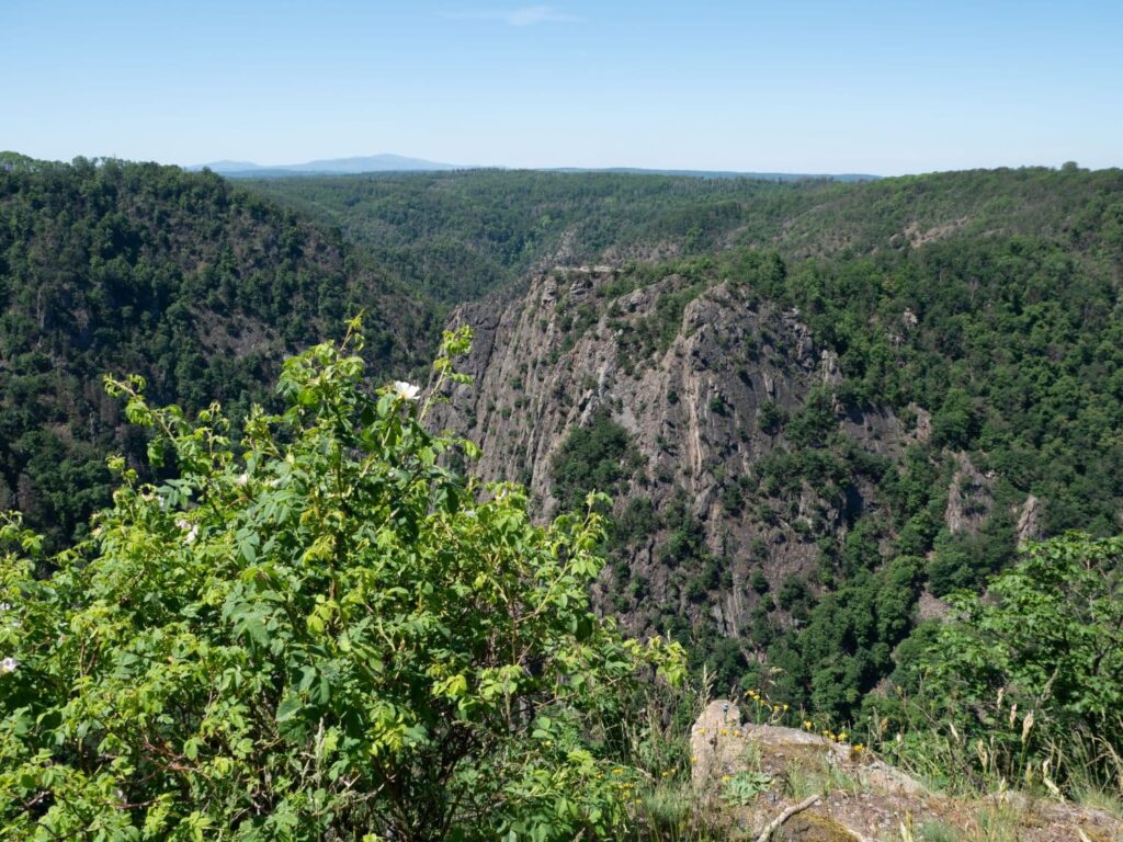 View of some rock faces in the Harz National Park