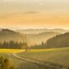 Ein Weg führt über eine grüne Hügelkuppe in ein bewaldetes Tal hinab. Hinter dem Hügel erstrecken sich in mehreren Ebenen die Berge des Schwarzwaldes. Alles ist von der Sonne in ein goldenes Licht getaucht