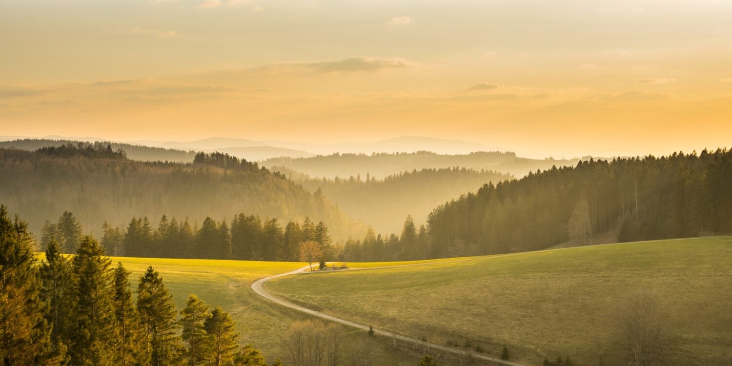 Ein Weg führt über eine grüne Hügelkuppe in ein bewaldetes Tal hinab. Hinter dem Hügel erstrecken sich in mehreren Ebenen die Berge des Schwarzwaldes. Alles ist von der Sonne in ein goldenes Licht getaucht