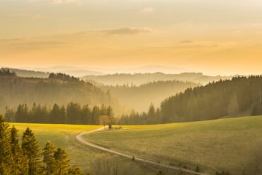 Ein Weg führt über eine grüne Hügelkuppe in ein bewaldetes Tal hinab. Hinter dem Hügel erstrecken sich in mehreren Ebenen die Berge des Schwarzwaldes. Alles ist von der Sonne in ein goldenes Licht getaucht