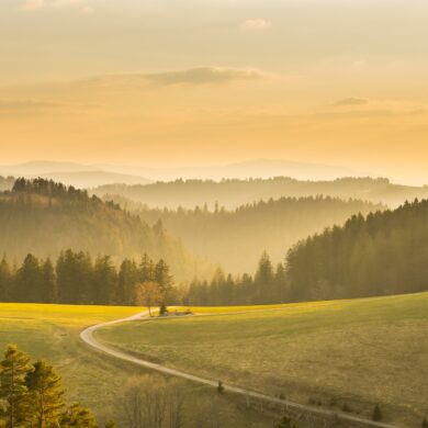 Ein Weg führt über eine grüne Hügelkuppe in ein bewaldetes Tal hinab. Hinter dem Hügel erstrecken sich in mehreren Ebenen die Berge des Schwarzwaldes. Alles ist von der Sonne in ein goldenes Licht getaucht