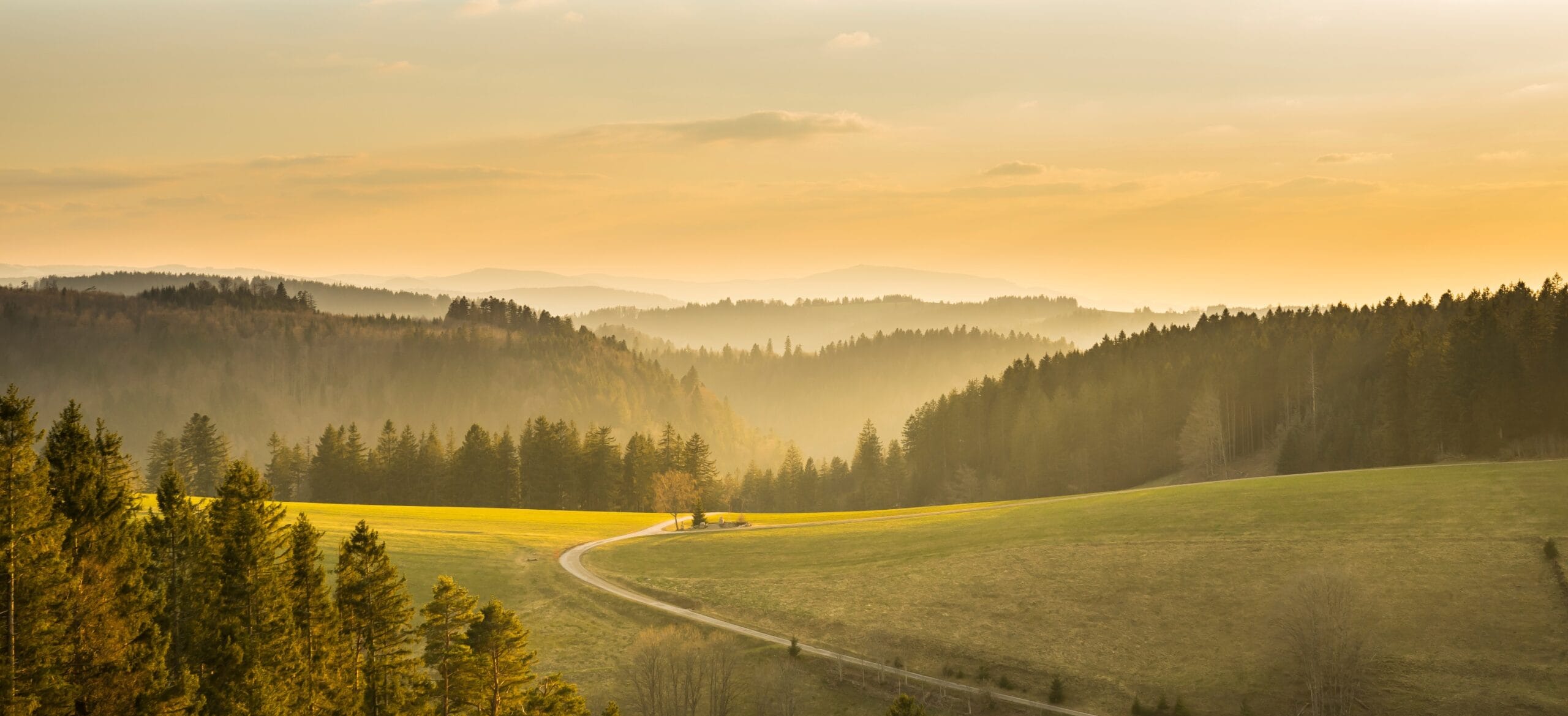 Ein Weg führt über eine grüne Hügelkuppe in ein bewaldetes Tal hinab. Hinter dem Hügel erstrecken sich in mehreren Ebenen die Berge des Schwarzwaldes. Alles ist von der Sonne in ein goldenes Licht getaucht