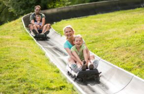 Zwei Schlitten mit je einer erwachsenen Person und einem Kind fahren auf einer metallenen Sommerrodelbahn einen Hang hinab
