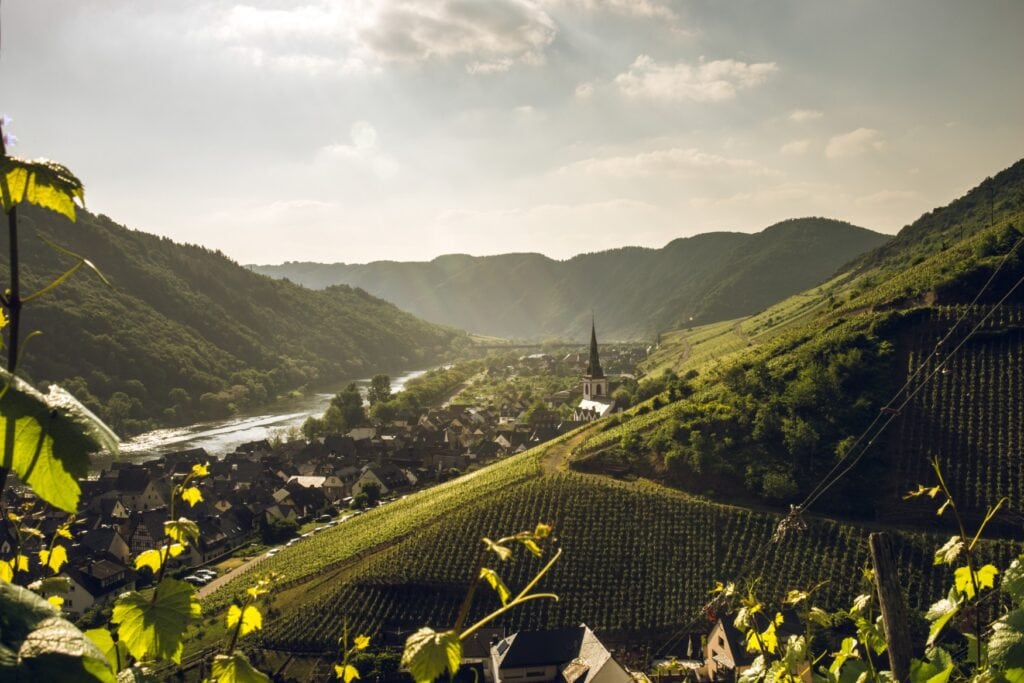 Ein grünes Flusstal, von einer Erhöhung aus gesehen. Das Bild wird durch einige Weinstocktriebe natürlich eingerahmt. Im Zentrum eine kleine, weiße Kirche, die hinter einem Weinberg hervorschaut; links davon zieht sich bis zum Fluss eine kleine Stadt; im Hintergrund macht der Fluss eine Biegung nach links, dahinter ein weiterer, bewaldeter Hang. Alles wird von der Sonne in ein sanftes Licht getaucht.