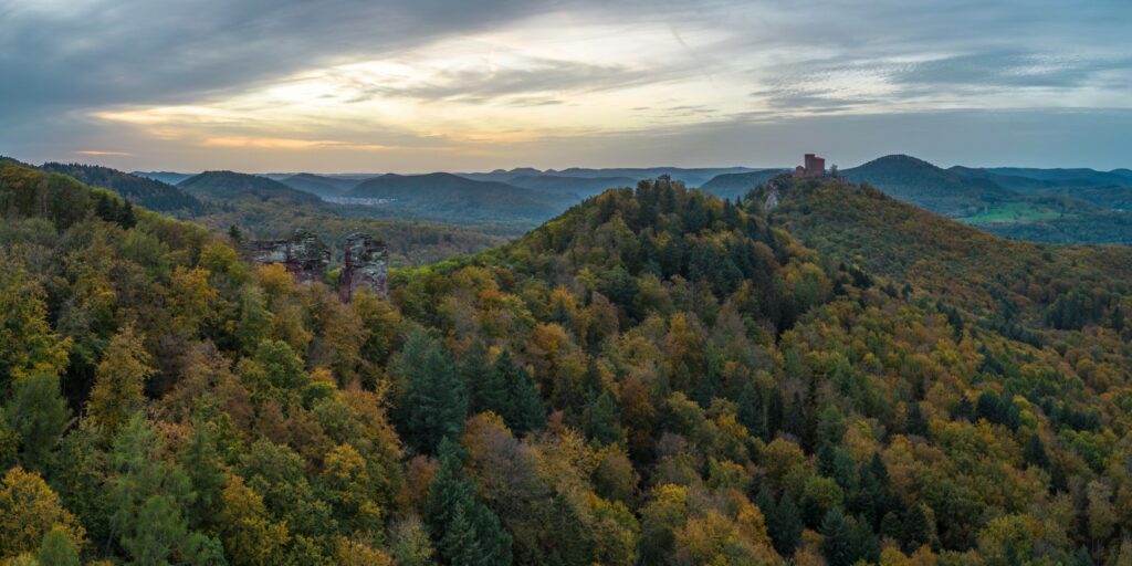 Panoramablick über einen dichten Herbstwald mit vielen Hügeln; Rechts im Hintergrund erhebt sich eine Burg auf einem der Hügel