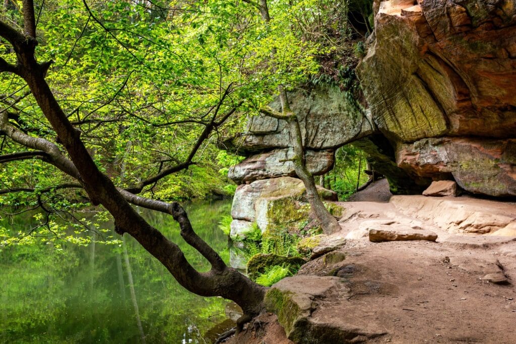 Ein felsiger Weg aus rot-grauem Stein führt rechts an einem schmalen Fluss entlang. Im Vordergrund wächst ein Baum vom Ufer schräg nach links. Der Uferweg führt im Hintergrund durch ein natürliches Tor durch den Felsen hindurch