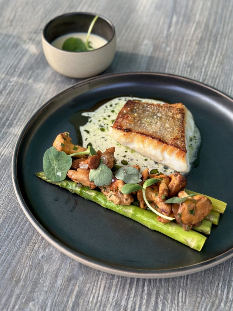 A grilled piece of pike-perch fillet in white sauce is served on a black ceramic plate, accompanied by three green asparagus spears arranged neatly alongside and topped with plenty of grilled chanterelle mushrooms.