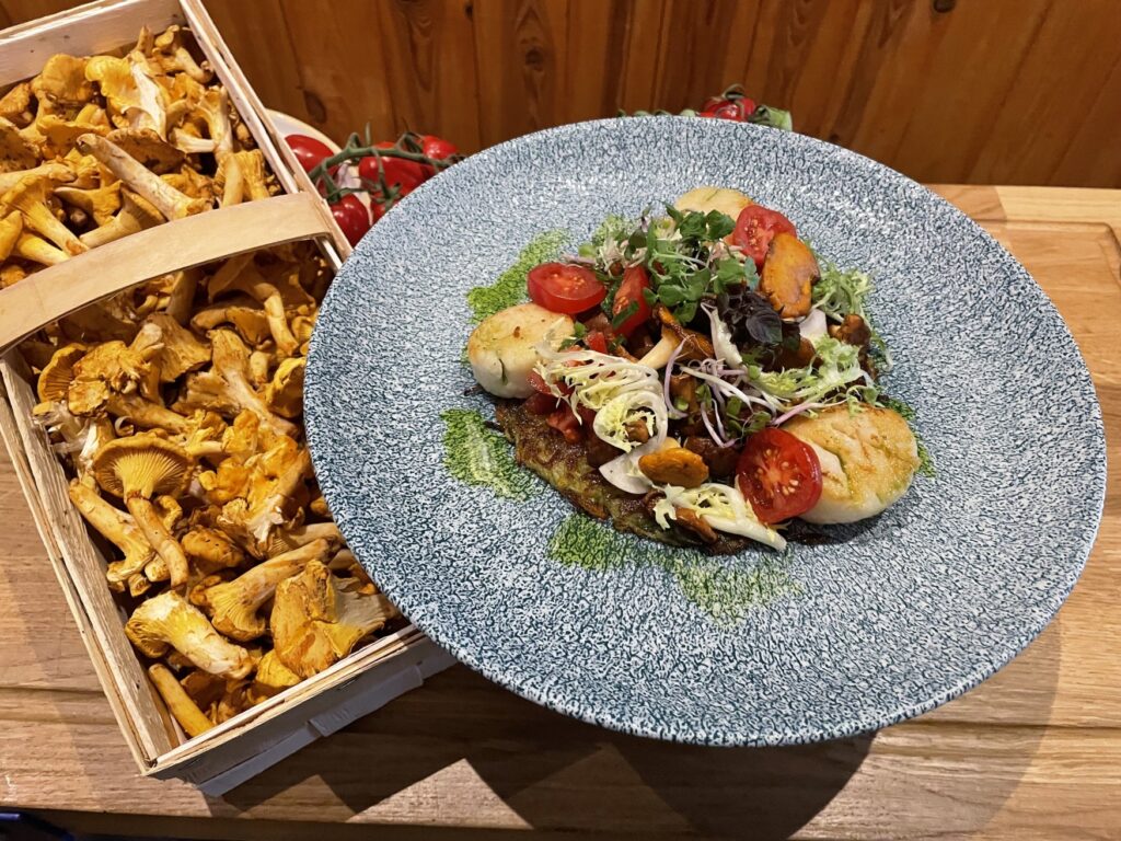 A salad with chanterelle mushrooms and tomatoes is served on a blue ceramic plate on top of a rösti, accompanied by grilled scallops. To the left is a basket of unprocessed chanterelle mushrooms.