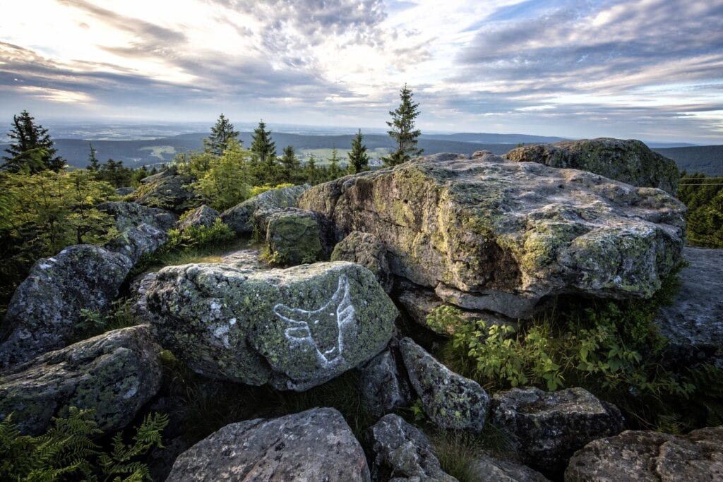 Mehrere große Felsen liegen neben- und übereinander auf einer Bergkuppe. Hinter den Felsen lugen einige Baumspitzen hervor, dahinter öffnet sich eine weitläufige Hügellandschaft mit großen Wäldern. Über allem ein bewölkter Himmel. Auf einem der Felsen ist mit Kreide ein Ochsenkopf gemalt.