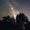 Über den Silhouetten einiger Bäume erstrahlt der Sternenhimmel, mittig die Milchstraße