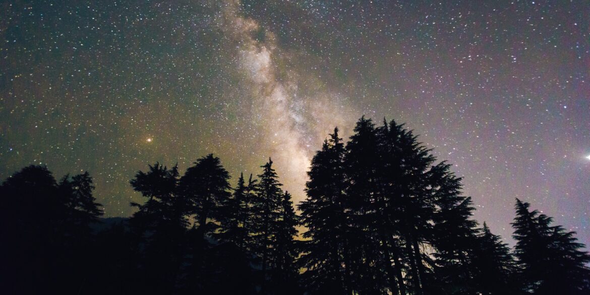 Über den Silhouetten einiger Bäume erstrahlt der Sternenhimmel, mittig die Milchstraße
