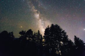 Über den Silhouetten einiger Bäume erstrahlt der Sternenhimmel, mittig die Milchstraße