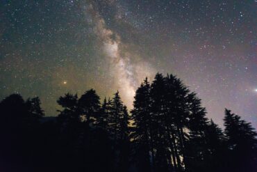 Über den Silhouetten einiger Bäume erstrahlt der Sternenhimmel, mittig die Milchstraße