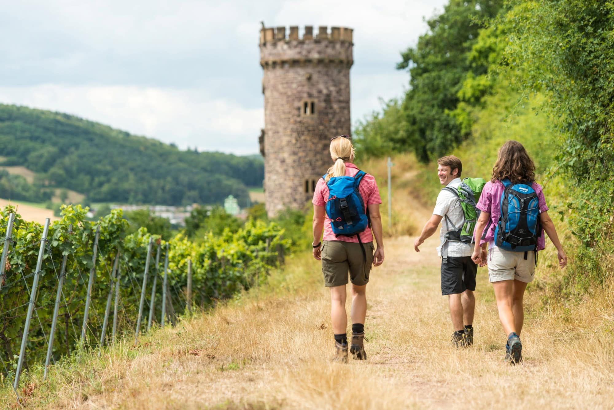 Drei Menschen in freizeitlicher Sommerkleidung wandern auf dem Kamm eines Weinbergs zur Linken in Richtung eines mittelalterlichen Rundturms. Unscharf im Hintergrund ein hoher Hügel mit Waldbewuchs.