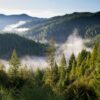 Ein von dichtem Wald bewachsenens Bergtal, von einem hohen Punkt aus gesehen. Im Hintergrund ragen einige Bergipfel aus dem Wald heraus, im Tal liegt Nebel darüber. Über allem blauer Himmel.