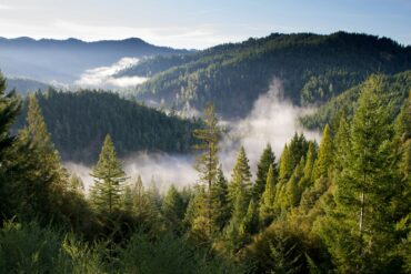 Ein von dichtem Wald bewachsenens Bergtal, von einem hohen Punkt aus gesehen. Im Hintergrund ragen einige Bergipfel aus dem Wald heraus, im Tal liegt Nebel darüber. Über allem blauer Himmel.
