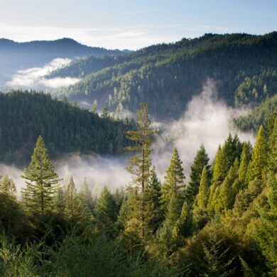 Ein von dichtem Wald bewachsenens Bergtal, von einem hohen Punkt aus gesehen. Im Hintergrund ragen einige Bergipfel aus dem Wald heraus, im Tal liegt Nebel darüber. Über allem blauer Himmel.