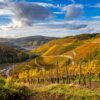 Blick von einem Weinberg hinab ins Ahrtal; die ganze Landschaft liegt in herbstlichem Gold-Gelb, am blauen Himmel sind einige Wolken zu sehen.