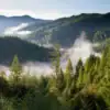 A mountain valley covered in dense forest, seen from a high point. In the background, several mountain peaks rise above the forest, while fog hangs over the valley. Above it all is a blue sky.
