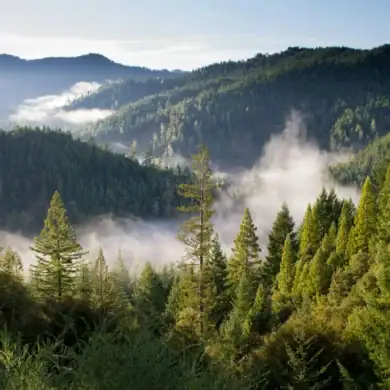 A mountain valley covered in dense forest, seen from a high point. In the background, several mountain peaks rise above the forest, while fog hangs over the valley. Above it all is a blue sky.