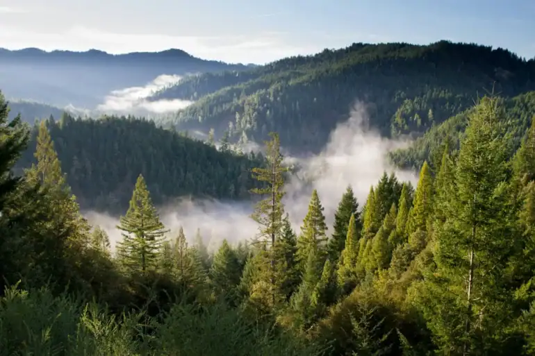 A mountain valley covered in dense forest, seen from a high point. In the background, several mountain peaks rise above the forest, while fog hangs over the valley. Above it all is a blue sky.