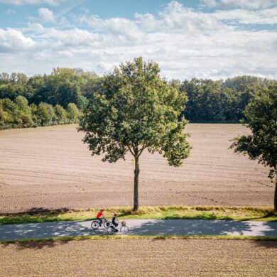 Drohnenaufnahme von zwei Radfahrer*innen auf einem Landweg mitten durch zwei Felder, von linsk nach rechts. Die Felder wirken frisch abgeerntet, am Wegesrand stehen zwei junge Bäume. Hinter dem hinteren Feld grenzt ein dichter Wald an, darüber blauer Himmel mit einigen Wolken.