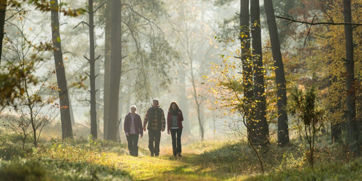 Drei Menschen in Outdoorkleidung wandern durch ein herbstliches Waldstück in der Lüneburger Heide.
