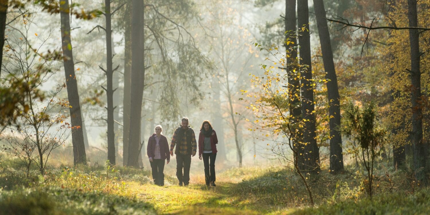 Drei Menschen in Outdoorkleidung wandern durch ein herbstliches Waldstück in der Lüneburger Heide.