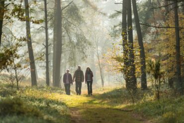 Drei Menschen in Outdoorkleidung wandern durch ein herbstliches Waldstück in der Lüneburger Heide.