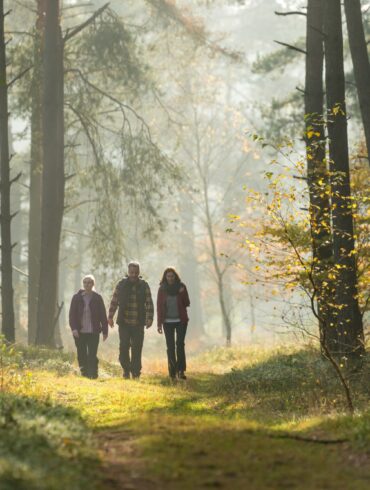 Drei Menschen in Outdoorkleidung wandern durch ein herbstliches Waldstück in der Lüneburger Heide.