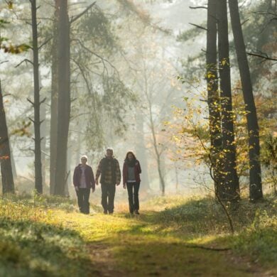 Drei Menschen in Outdoorkleidung wandern durch ein herbstliches Waldstück in der Lüneburger Heide.