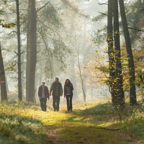 Drei Menschen in Outdoorkleidung wandern durch ein herbstliches Waldstück in der Lüneburger Heide.