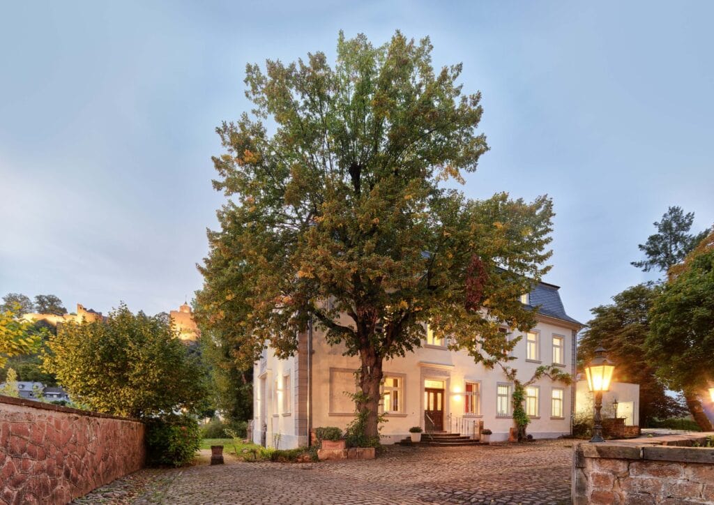 Auf einem gepflasterten Hof steht hinter einem hohen Baum ein historisches Gutshaus, das im Abendlicht von innen hell erleuchtet ist.